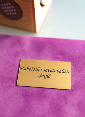 Brankica Saljic Milenkovic